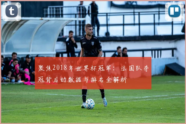 聚焦2018年世界杯冠军：法国队夺冠背后的数据与排名全解析