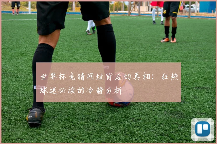 世界杯竞猜网址背后的真相：狂热球迷必读的冷静分析